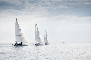Group of yachts sailing in the wind during regatta - obrazy, fototapety, plakaty
