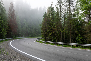 Road curve in summer firest