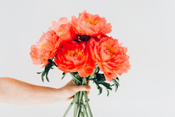 Cropped shot of female hand holding a bright bouquet of pink peonies. Woman with spring flowers. White background,close up