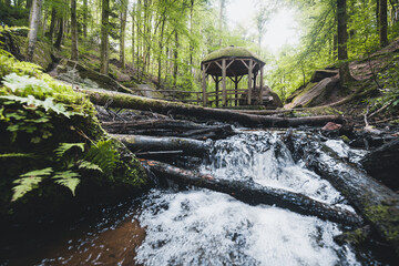 Hütte mit Wasser in der Karlstalschlucht im Pfälzerwald in Rheinland Pfalz 