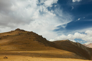 Fototapeta na wymiar Alpine pasture in Kyrgyzstan