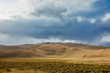 Alpine pasture in Kyrgyzstan