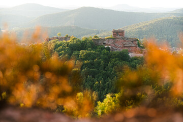 Obraz premium Sandstein Burg Burgruine Drachenfels im Pfälzerwald in Rheinland Pfalz in Deutschland zum Sonnenuntergang