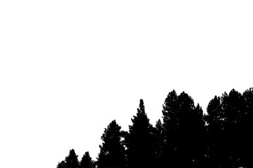Silhouette of trees forest from far away, dark shadow, clean outline, black and white, 