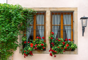 Fototapeta na wymiar Beautiful window with flowers, Germany