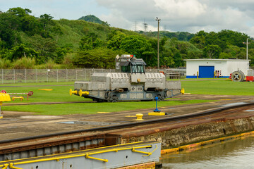 Mule at the Miraflores lock on the Panama canal