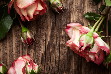 Vintage still life with a few flower of roses on wooden surface