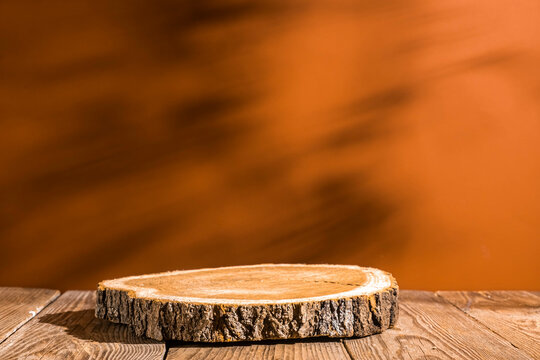  Wooden podium round saw cut of a tree on a terracotta background. Still life for the presentation of products. abstract shadows