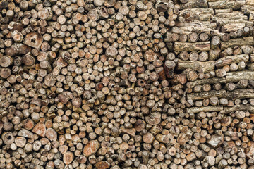 Pile of wood logs texture background