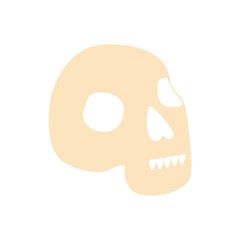 Witches school of magical objects in flat style. Broom, candle, skull, zipper, scarf, hat, potion, glasses, knife