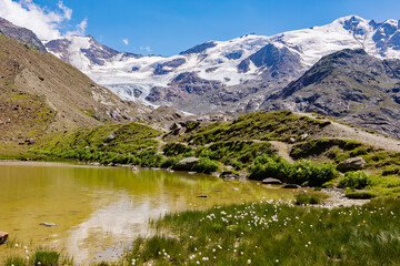 Fototapeta na wymiar view of the Forni glacier from the Branca refuge, Stelvio National Park, Italy, July 2022 
