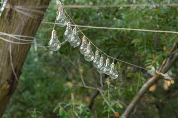 A garland of light bulbs hangs on a tree