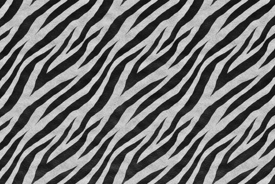Clean and realistic zebra skin texture background © MaStudio
