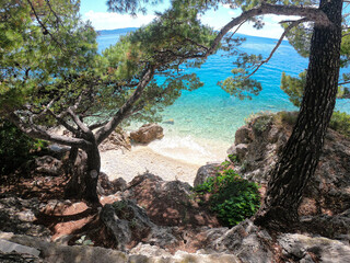 Fototapeta na wymiar View through the pine forest to the private sandy beach in Croatia