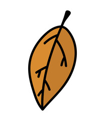 Doodle isolated autumn leaf. Hand drawn fallen seasonal leaf. Vector fall illustration clip art