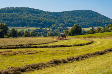 Fototapeta premium A farmer turns the mown grass on the meadow to dry further