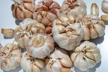 Garlic isolated on white background.