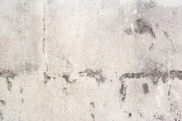 Old concrete background texture. Fungi on cement.