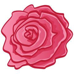 Red Rose Bud Flower Floral Doodle Line Art Drawing Vector Illustration Design