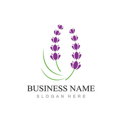 fresh lavender flower logo flat design template