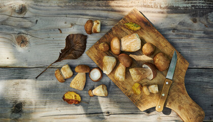 Fresh forest mushrooms boletus, king bolete, penny bun, cep, porcini, mushroom on old wooden board,...