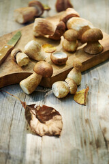 Fresh forest mushrooms boletus, king bolete, penny bun, cep, porcini, mushroom on old wooden board, dark brown table background, selective focus