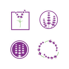 fresh lavender flower logo flat design template