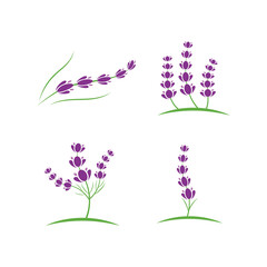 fresh lavender flower logo flat design template