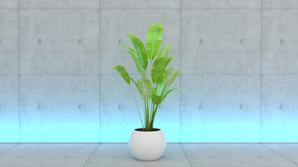 3d rendering of decorative plant vase inside isolated on white background