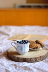 Vintage cup with fresh blueberries, plate of chocolate chip cookies, open book and reading glasses on a bed. Selective focus. 
