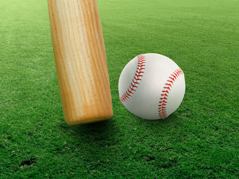 Baseball and old bats on the field of play