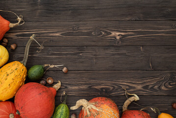 Festive autumn decor of pumpkin and decorative gourds on wooden background