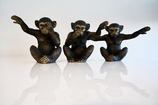 Le tre scimmie sagge al contrario