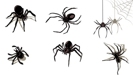 Collection of spiders isolated on white. Halloween decoration. Graphic elements, vector illustration.