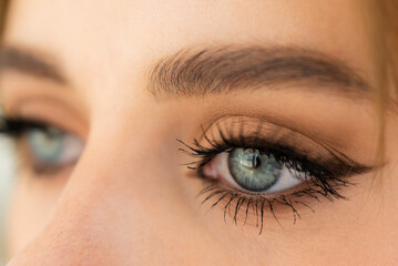 Obraz premium Eyebrows of girl after plucking and haircut close-up. The makeup artist will do permanent eyebrow makeup. Makeup and cosmetology concept