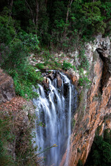 A powerful waterfall surrounded by lush green trees and orange rocks in the tropical North Queensland, Australia