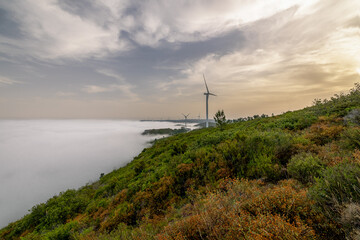 turbines green mountains and fog