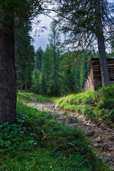 Landscape surroundings Cortina d'Amepzzo - Italy