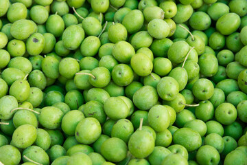 Grupo de aceitunas olivas ecologicas. Close up. Space text.