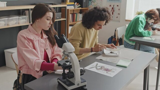 High angle of Caucasian girl looking into microscope, writing in notebook, sitting at desk next to Biracial guy who dissecting frog on biology lesson in afternoon