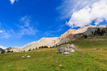 Fototapeta premium Forcella Lerosa - Dolomites - Italy
