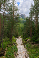 Fototapeta premium Forcella Lerosa - Dolomites - Italy