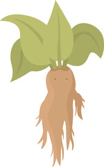 Nature mandrake icon cartoon vector. Green plant. Child garden
