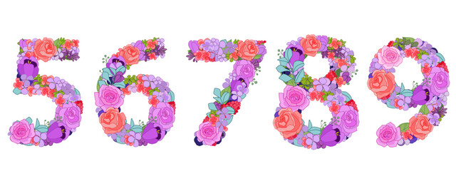 colorful flowers arrangement in number shape 5, 6, 7, 8, 9. set