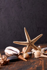 Fototapeta na wymiar shells and sea stars on the wooden background