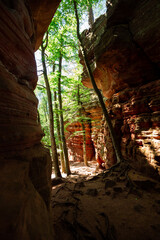Altschlossfelsen Sandstein Felsen Türme im Wald im Pfälzerwald in Rheinland Pfalz in Deutschland