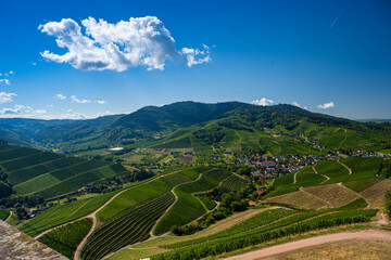 View from Staufenberg Castle to the Black Forest with grapevines near the village of Durbach in the Ortenau region_Baden, Baden Wuerttemberg, Germany. - obrazy, fototapety, plakaty