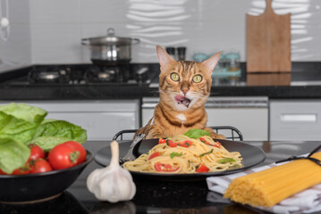 Сat sits at the table and licks its lips, in front of the cat there is a plate with cooked pasta with cherry tomatoes and basil.