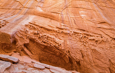Honeycomb weathering of a canyon wall in the Grand Staircase-Escalante National Monument, Utah, USA