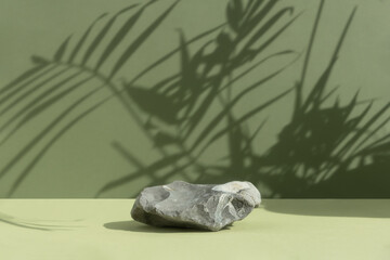A stone gray podium on a green background with a shadow from the leaves of a palm tree. Showcase for product promotion, beauty, natural eco cosmetic.